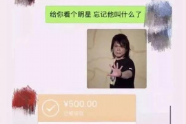 江苏江苏讨债公司服务